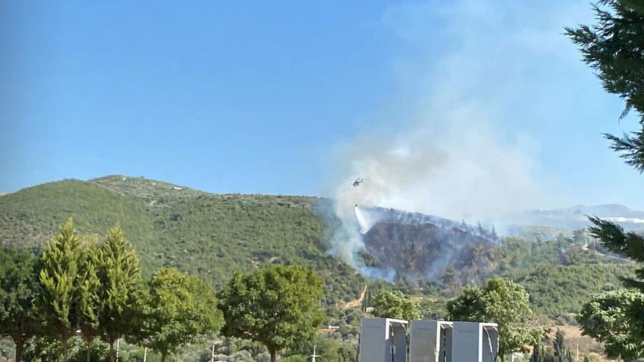Aydın’da orman yangını: Karadan ve havadan müdahale ediliyor