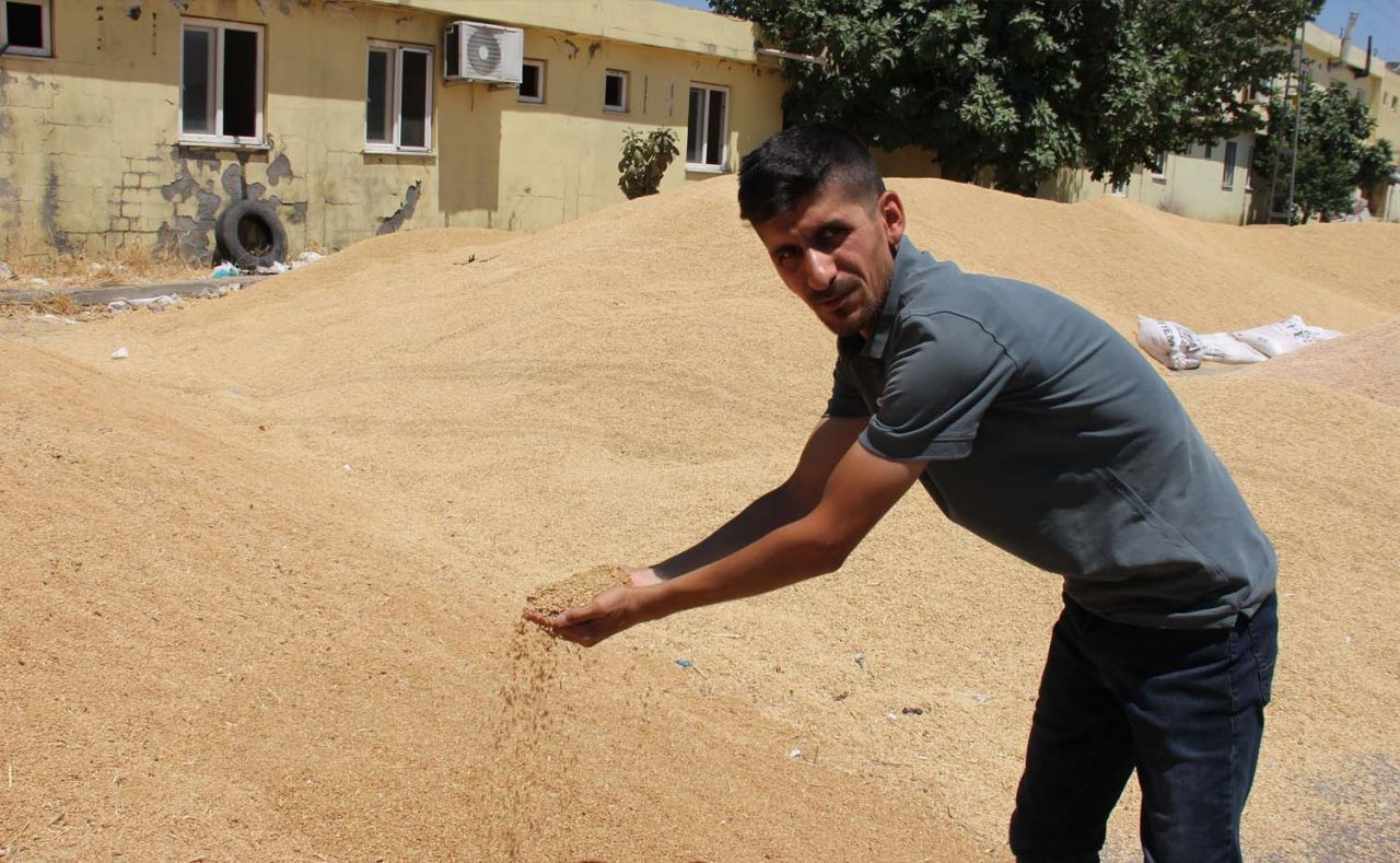 Türkiye buğdayını alıp çürümeye mi bırakıyorlar? Ortalığı karıştıran bomba iddia