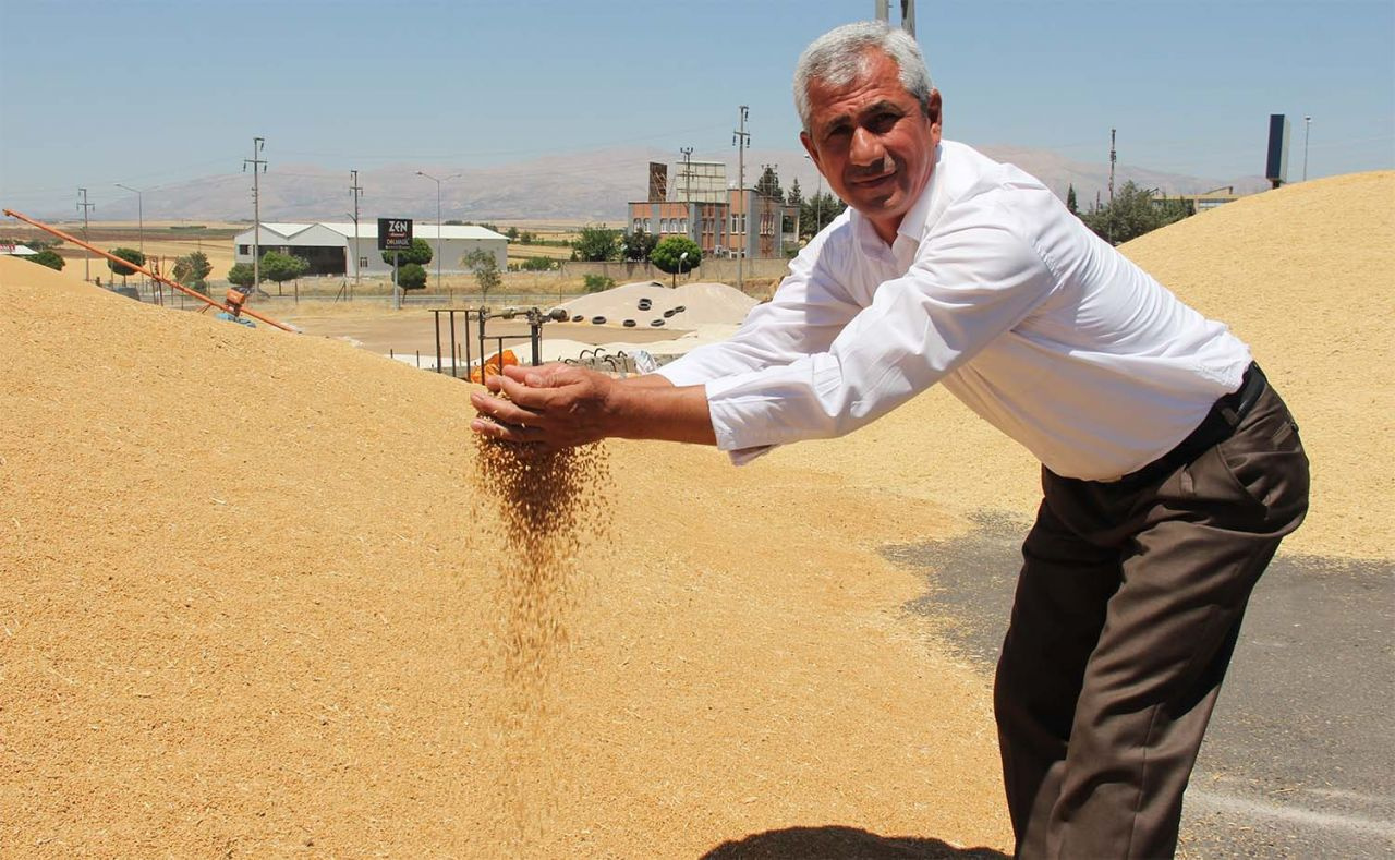 Türkiye buğdayını alıp çürümeye mi bırakıyorlar? Ortalığı karıştıran bomba iddia