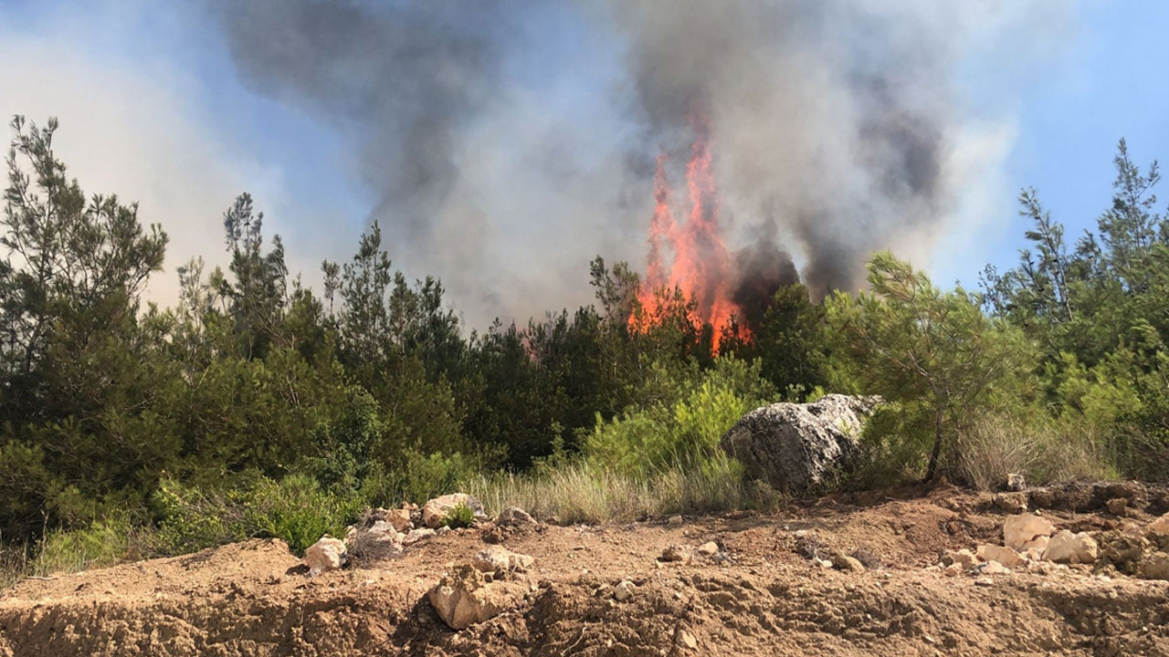 Kaş'ta orman yangını: Havadan ve karadan müdahale ediliyor!