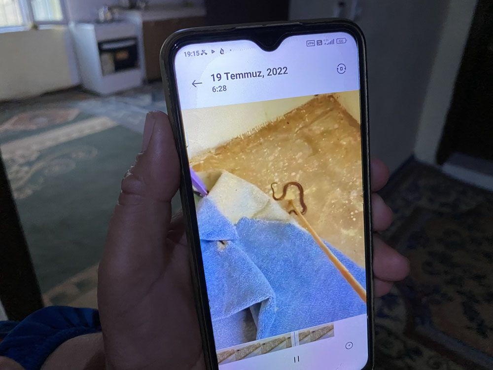 Hakkari'de yılan evi! Her yerden çıkıyor ailenin gözüne uyku girmiyor evin hanımının sözleri ürküttü