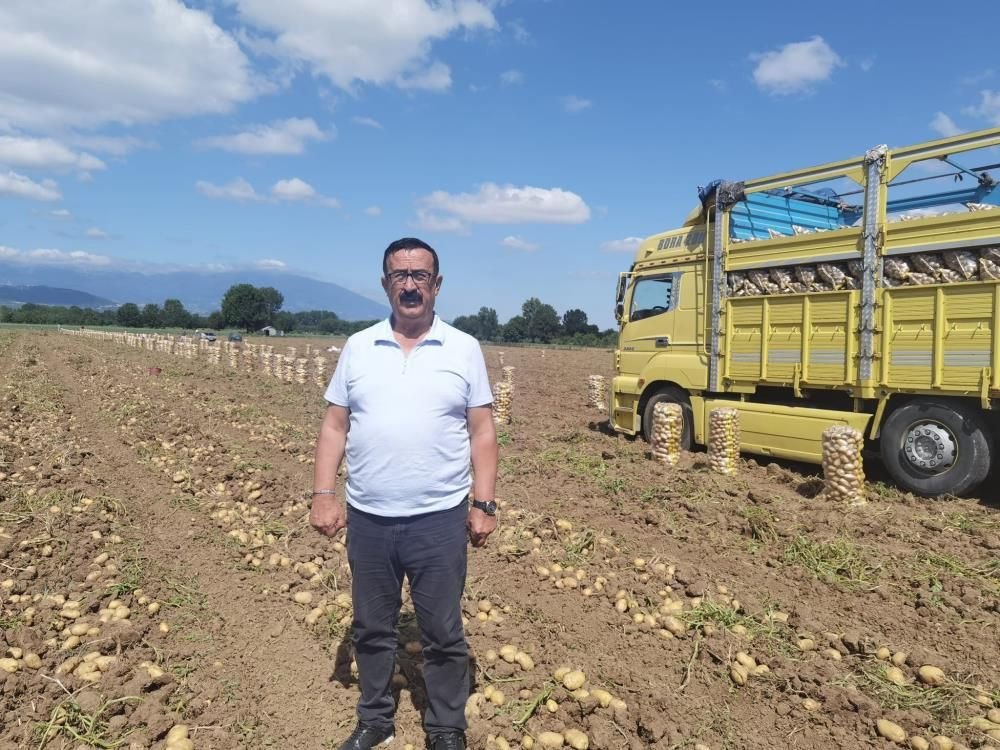 Patatesin tarla satış fiyatı buysa tüketici yandı! Bursa'da hasat edilen patatesin fiyatına bakın