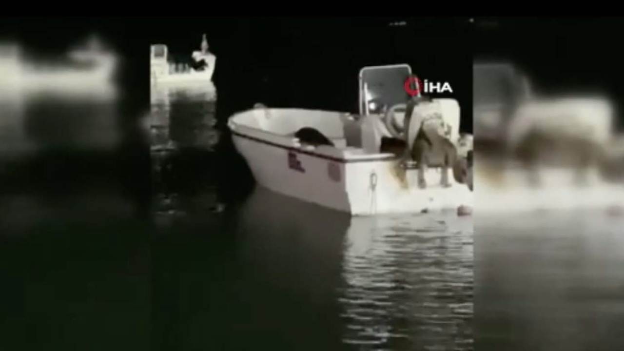 İstanbul'da sahilde şaşkına çeviren an! Su samuru balıkçı teknesine çıktı