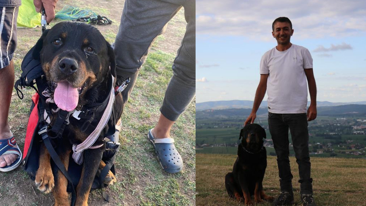 Sakarya semalarında uçan köpeği görenler şaşkına döndü