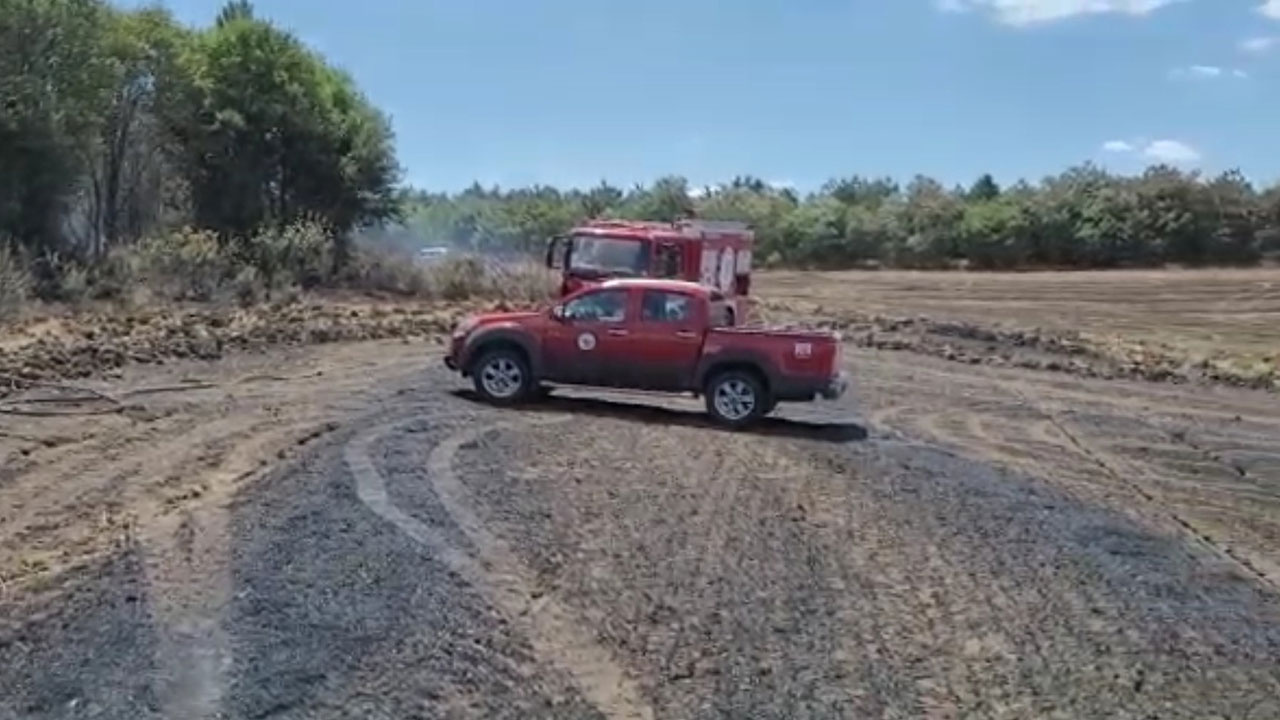 Tekirdağ'daki orman yangının sebebi ortaya çıktı anız yüzünden orman yandı