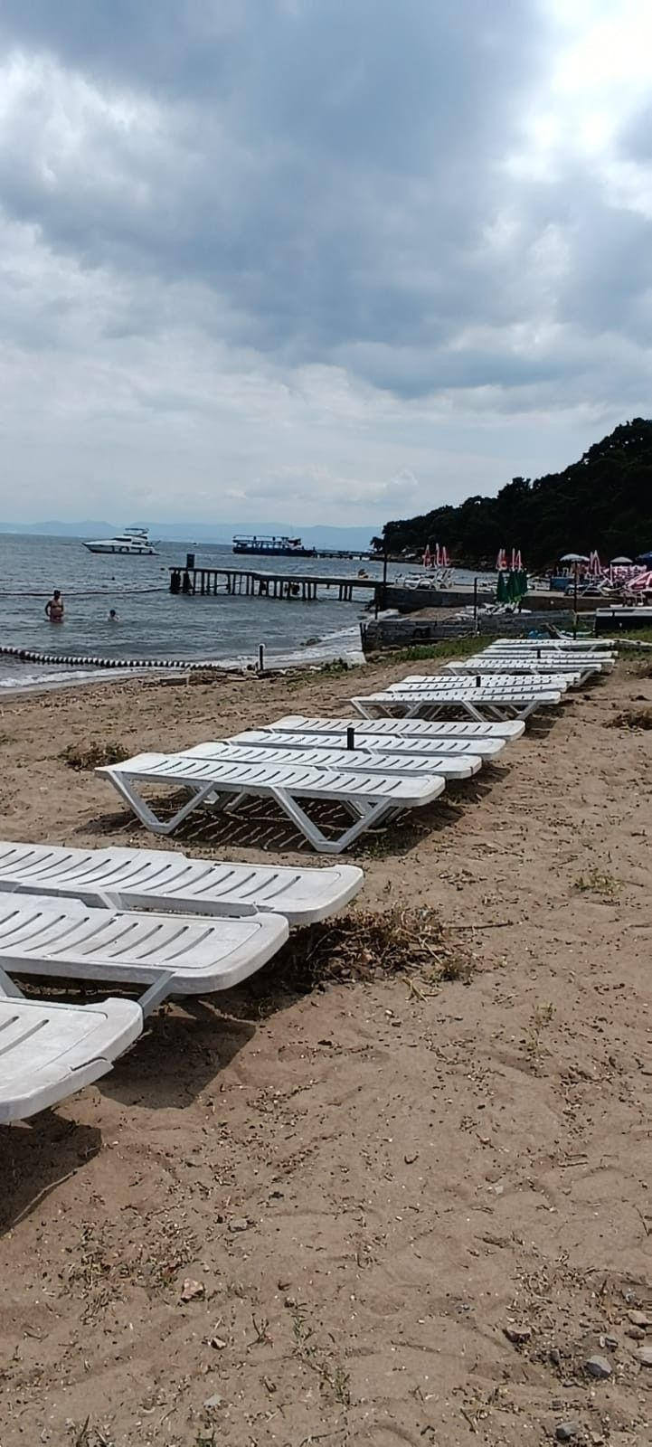 Büyükada'da striknin tehlikesi! Zehirli madde halk plajındaki kuma karıştı 'Öldürebilir'