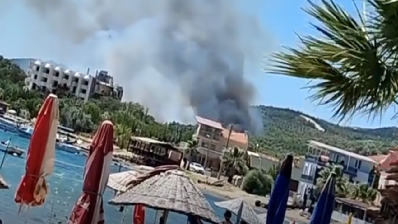 İzmir Seferihisar'da orman yangını! Havadan ve karadan müdahale sürüyor