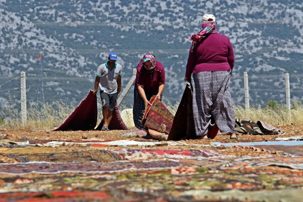 Milyonluk değeri var kapış kapış satılıyor! Antalya'da tarlada ilginç nöbet