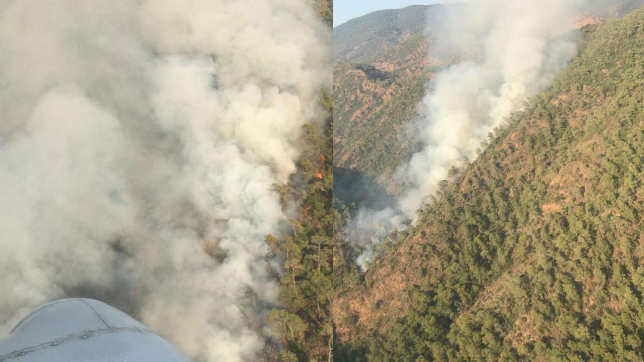 Marmaris’te orman yangını! Ekipler karadan ve havadan müdahale ediyor