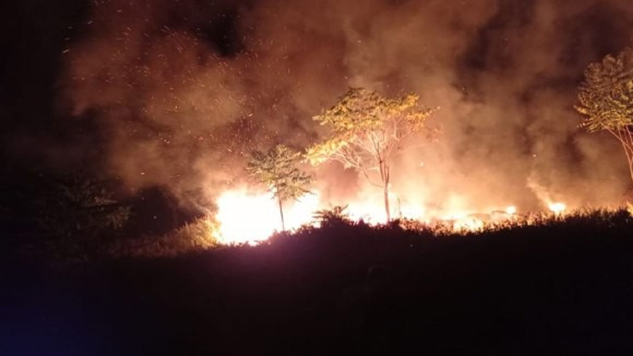 Kocaeli'de araba lastikleri ormanı yaktı! Alevler hızla büyüdü