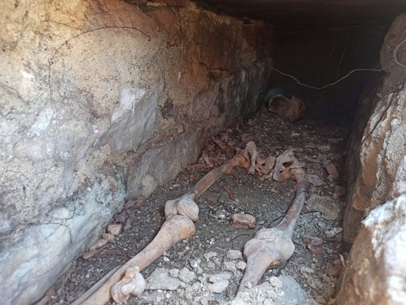Kastamonu'da kuzeninin kayıp mezarını ararken ararken buldu yetkililer apar topar etrafı çevirdi