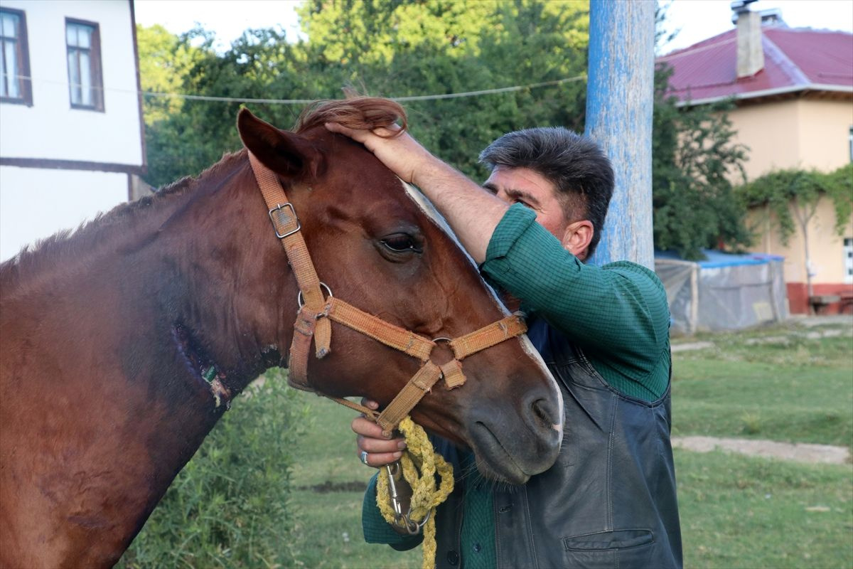 Boynu kesilen atı bahçe hortumuyla kurtardı! Kastamonu'da ilginç olay: Bypass yapmışsın