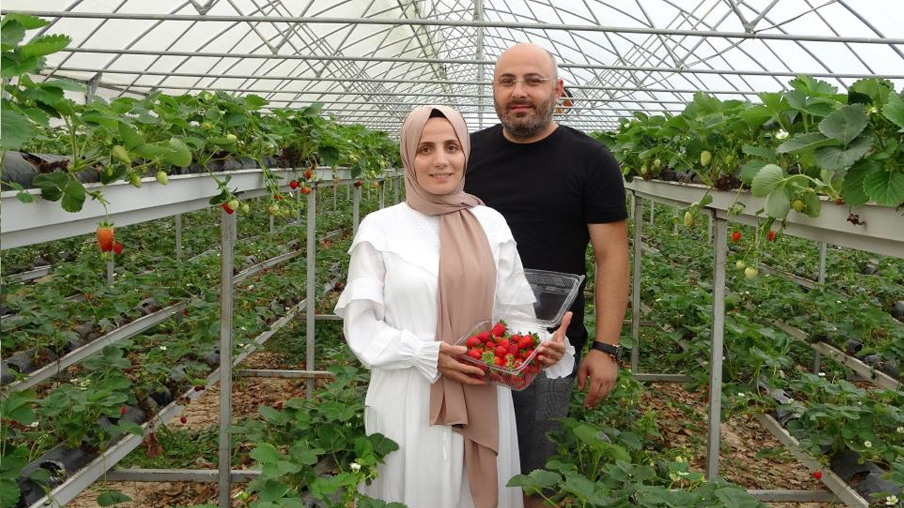 Hobi olarak başladılar talep patladı! Yılda 5 ton üretim Ordu'da fındığa rakip çıktı