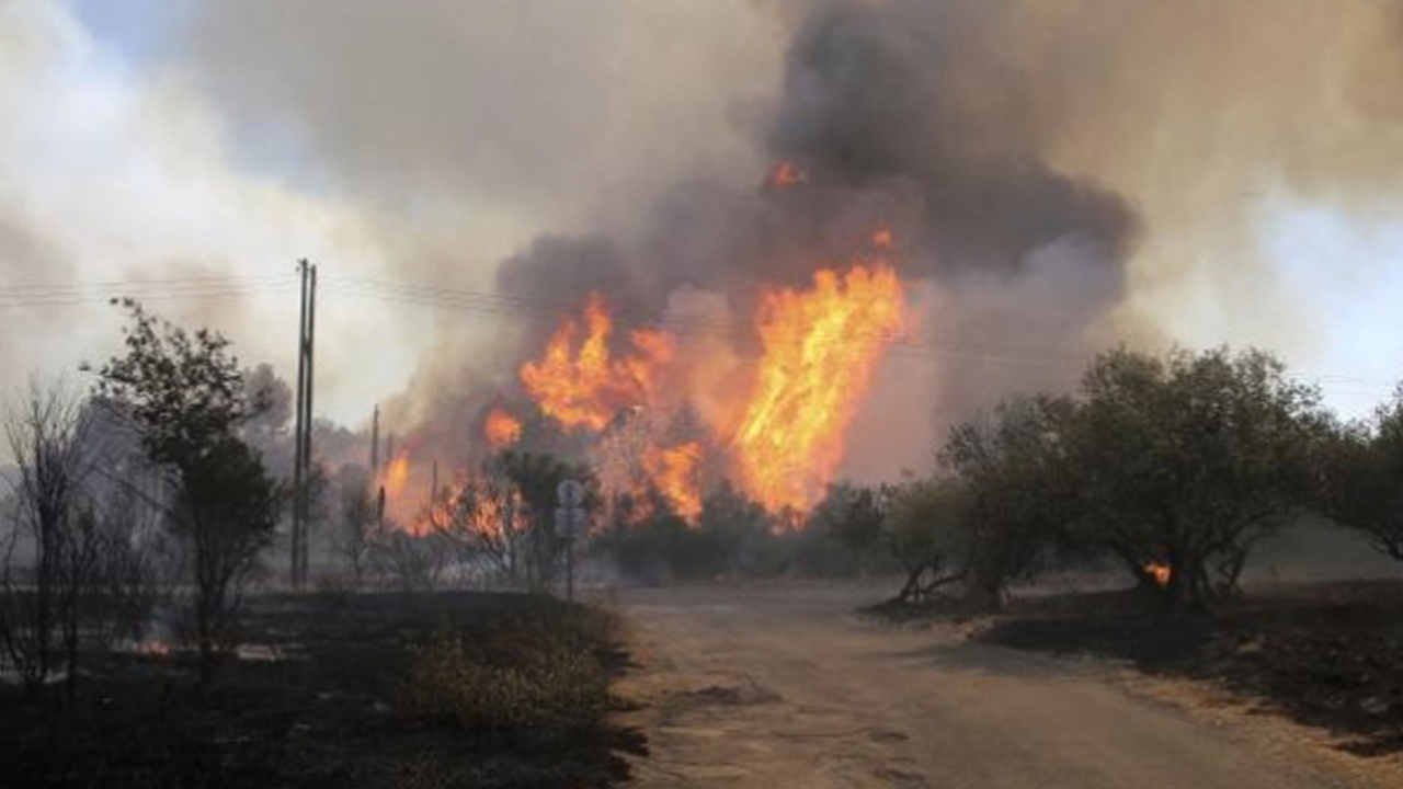 Fransa'da korkunç orman yangını: 700 hektar alan kül oldu