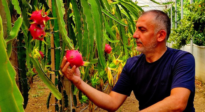 Paranı çöpe atma dediler dinlemedi ekti masrafı yok şimdi para basıyor