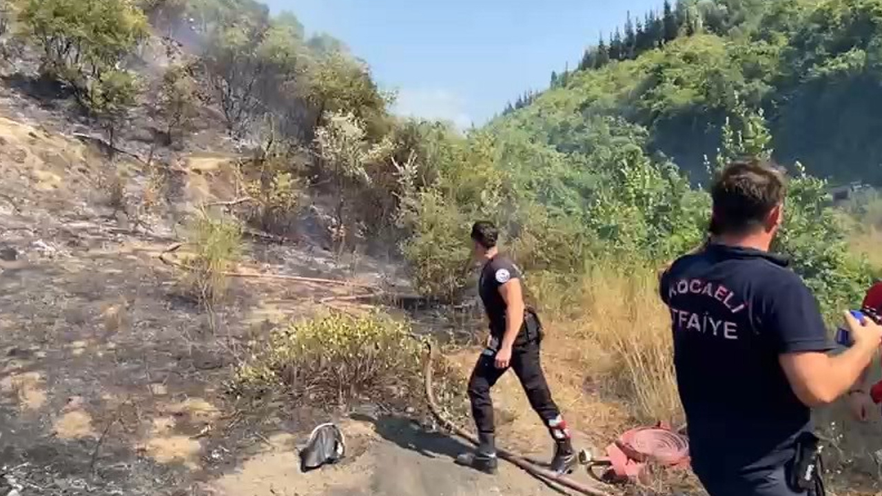 Kocaeli'de orman yangını; 1 kişi gözaltına alındı