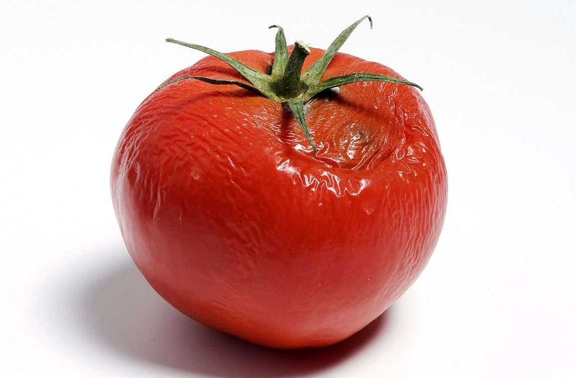 Çürüyen domatesleri sakın atmayın Faydaları inanılmaz