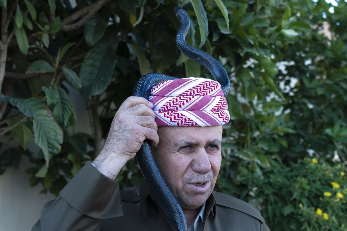 60 yılanla beraber yaşayan adamın evi ürküttü! Yakaladığını eve getirip etle besliyor