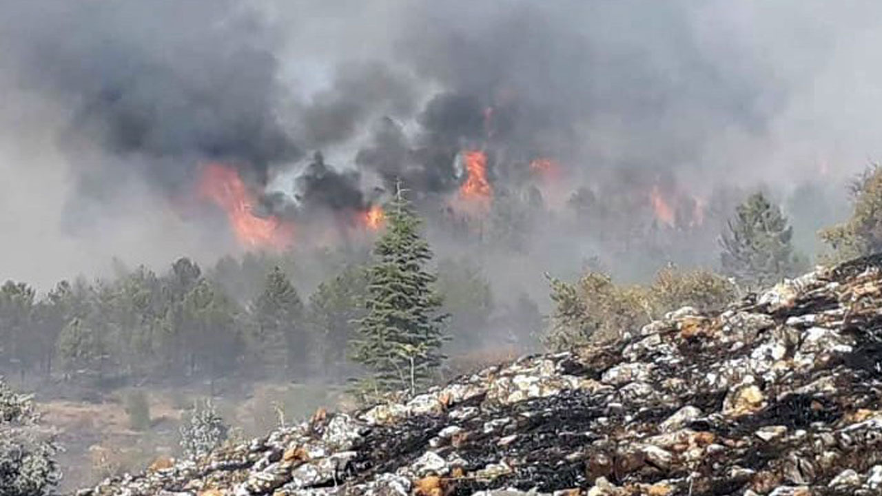 Manisa ve Elazığ’daki orman yangınları kontrol altına alındı!