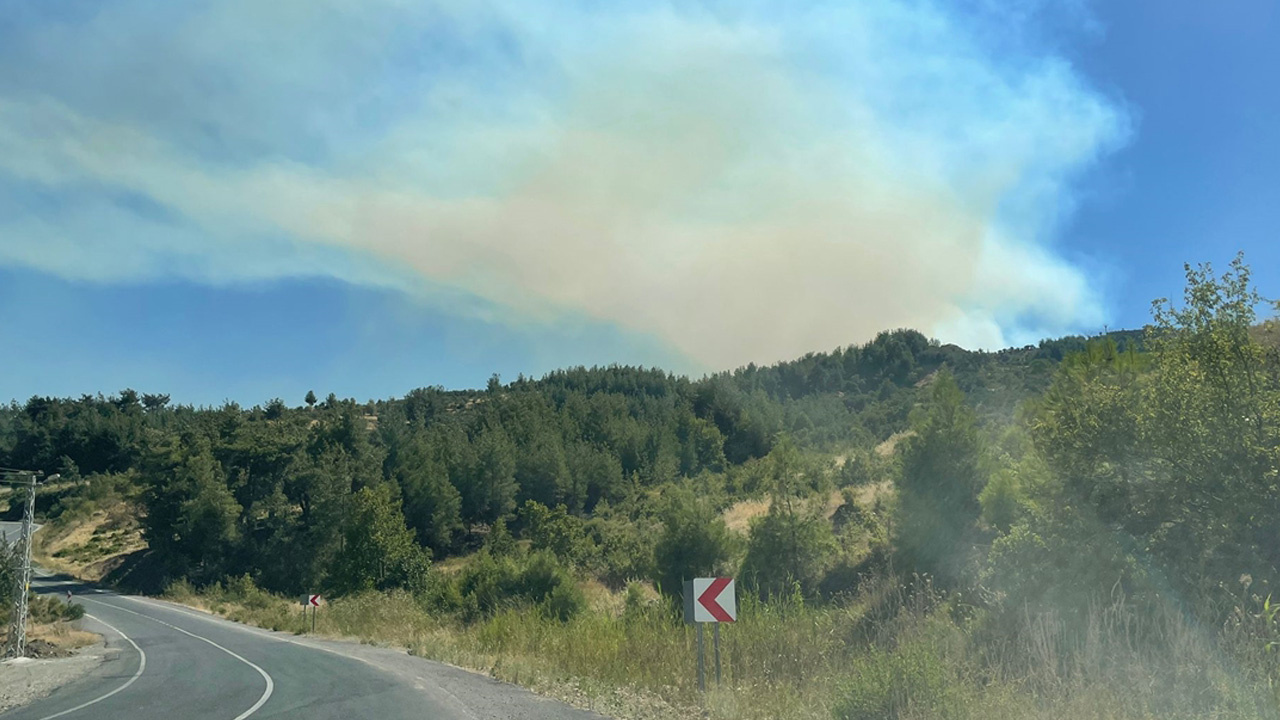 Kahramanmaraş'ta ormanlık alanda yangın! Alevlere müdahale ediliyor