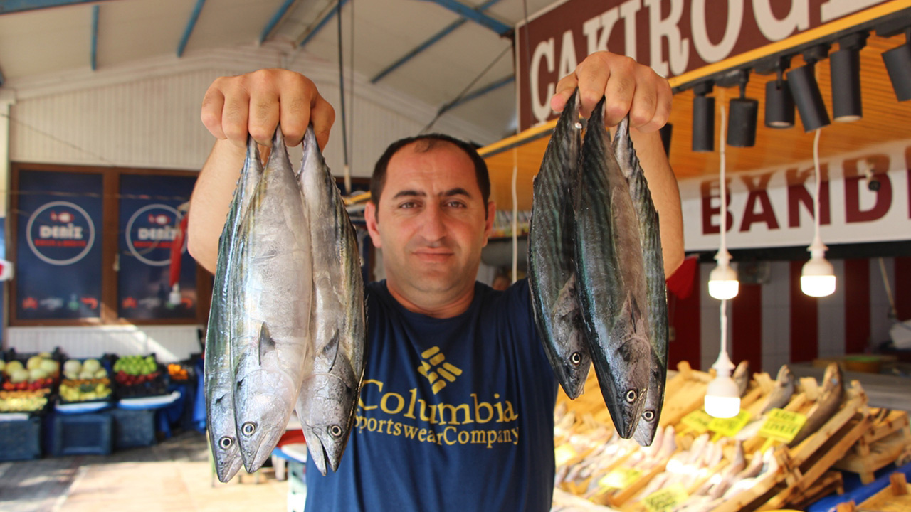 Son 50 yılda böylesi görülmedi! Marmara ve Karadeniz'de hangi balık daha çok?