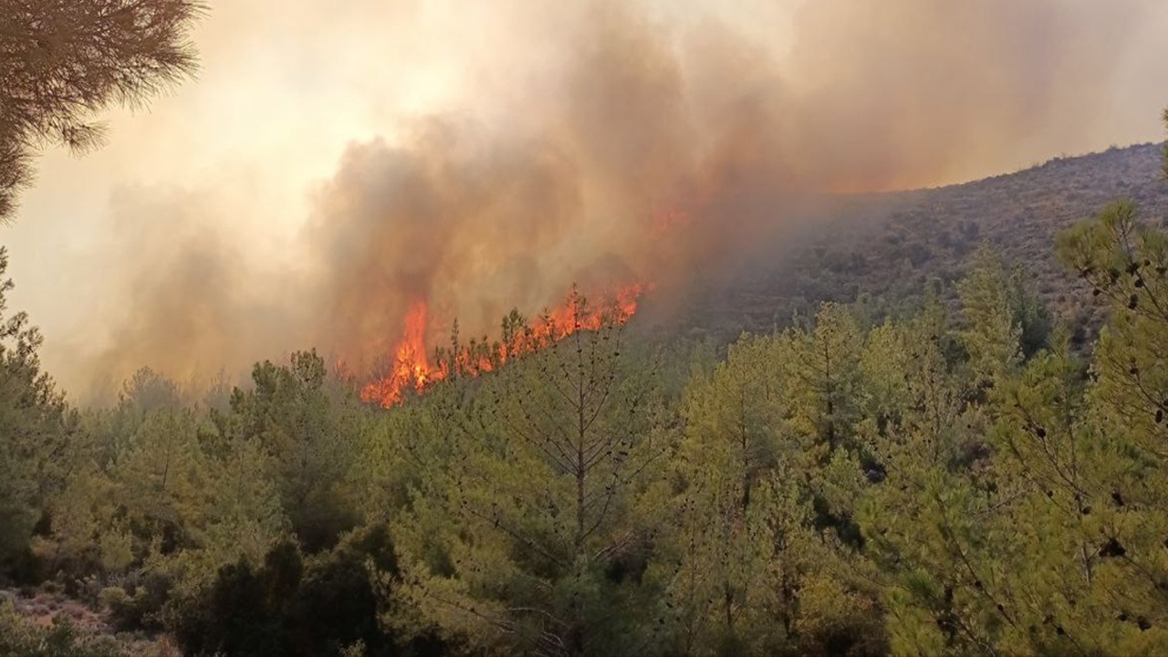 Mersin'de orman yangını çıktı! Dumanlar gökyüzünü kapladı