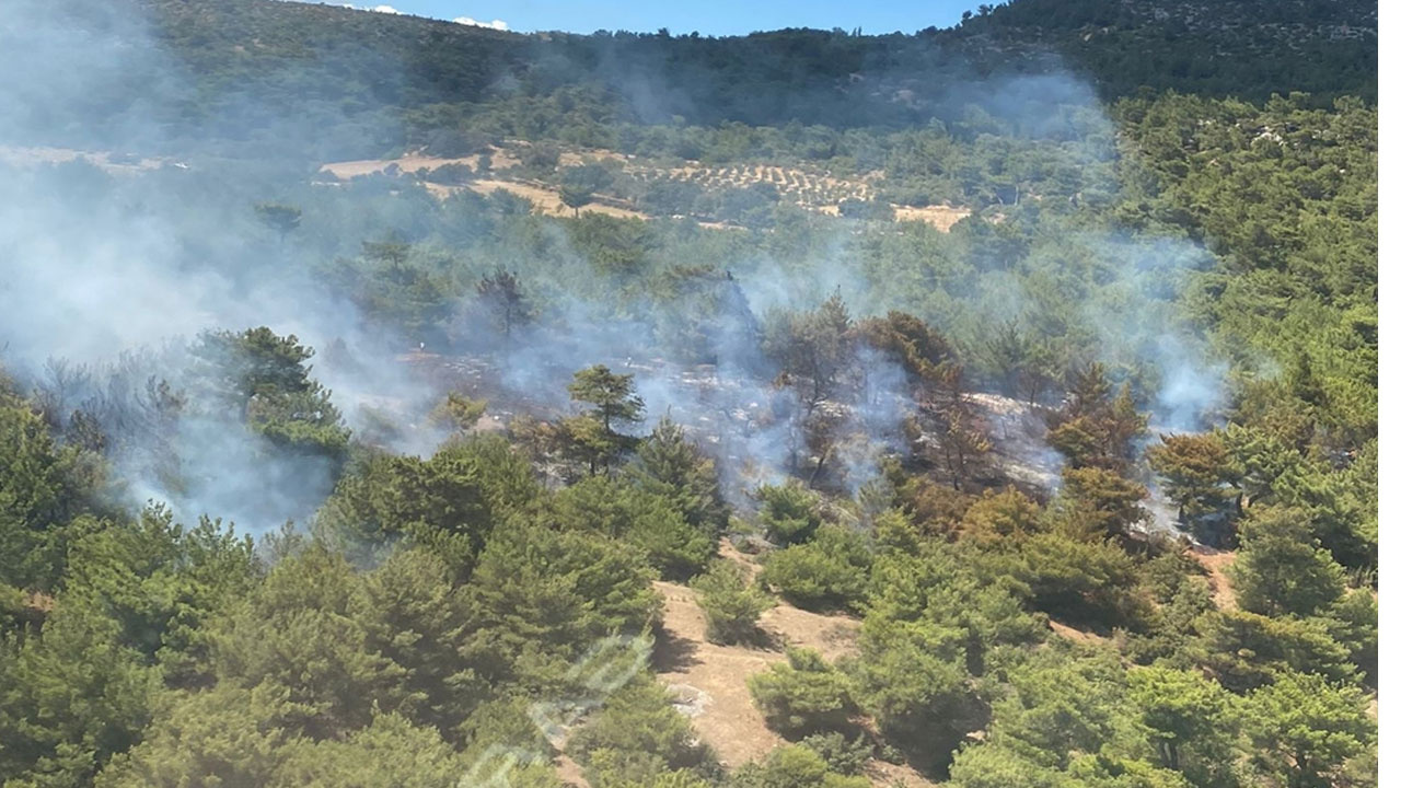 İzmir'de orman yangını çıktı! Ekipler bölgede müdahale sürüyor