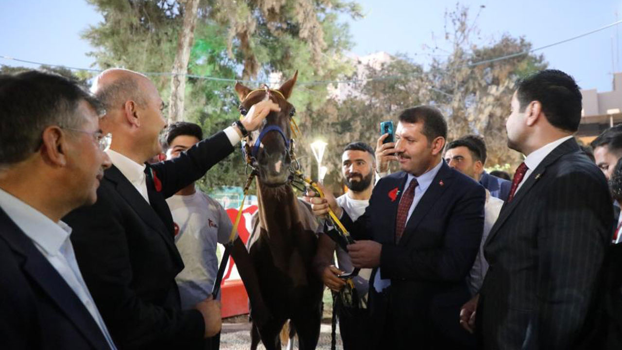 Bakan Soylu’ya Suruç’ta sevgi seli: Zılgıtlarla karşılandı, yarış atı hediye edildi!