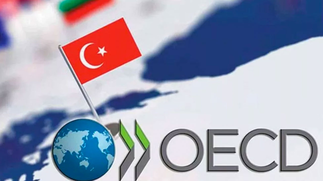 OECD, 2022 Türkiye ekonomisine ilişkin büyüme tahminini değiştirdi