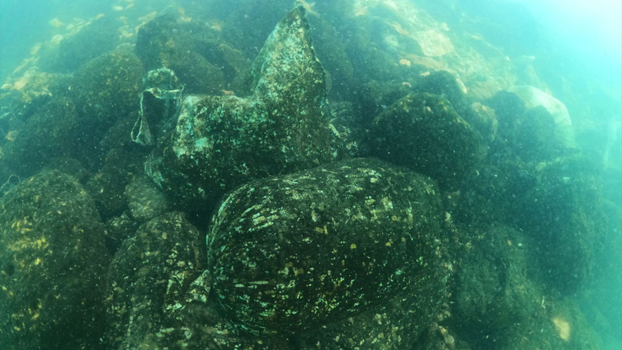 Van Gölü'nün çekilmesiyle ortaya çıktı dalgıçlar görüntüledi