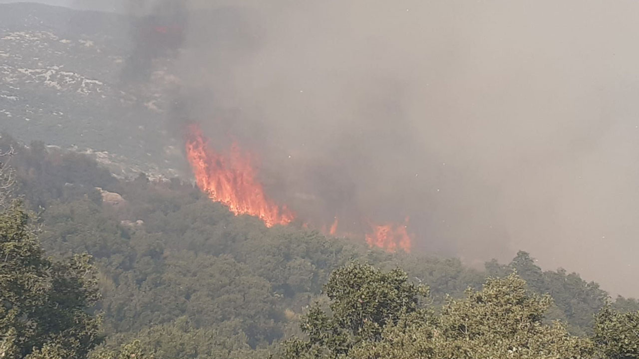 Antalya'da orman yangını!  İtfaiye ekipleri bölgeye sevk edildi