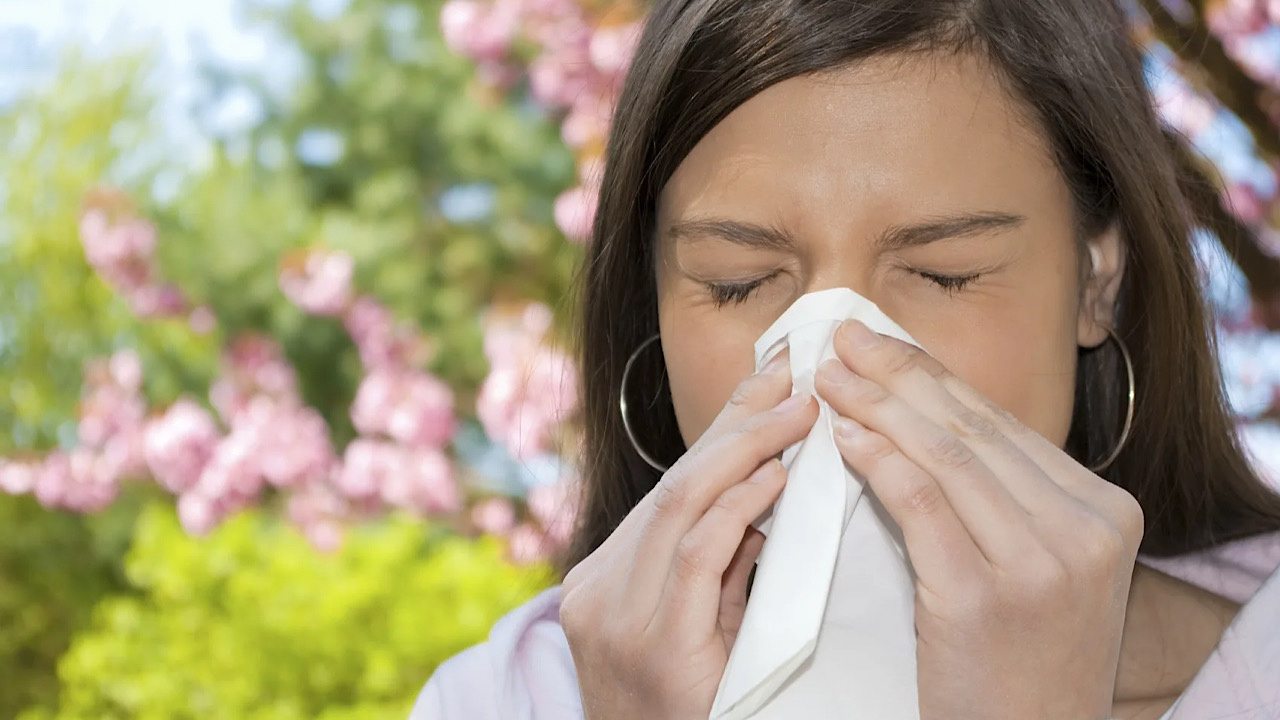 Her geçen sene daha da ağırlaşan sonbahar alerjisinin sebebi ne?