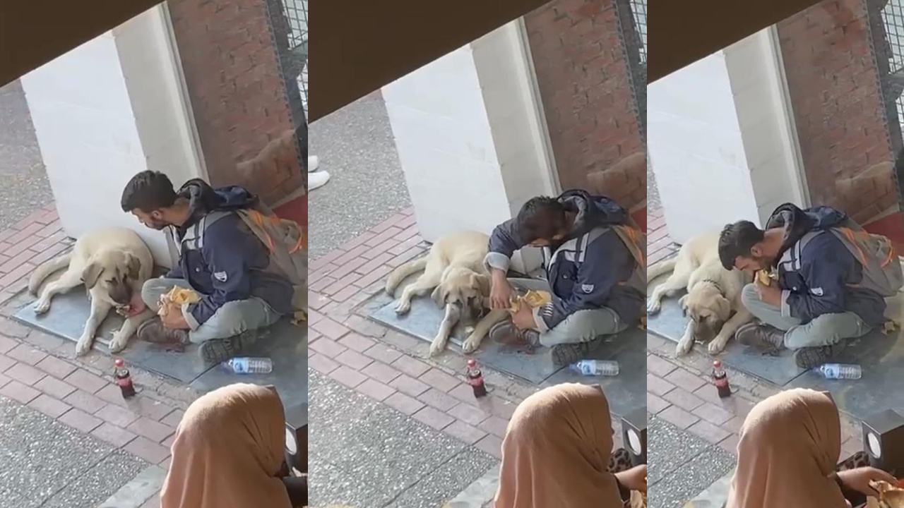 Bursa'da yürekleri ısıtan görüntü! Sokak köpeği ile yemeğini paylaştı: Sosyal medyada viral oldu!