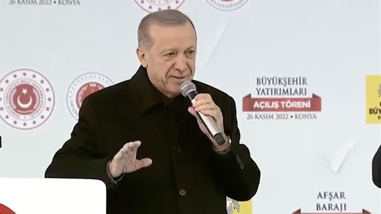 Cumhurbaşkanı Erdoğan'dan hayvan barınağındaki vahşetle ilgili açıklama