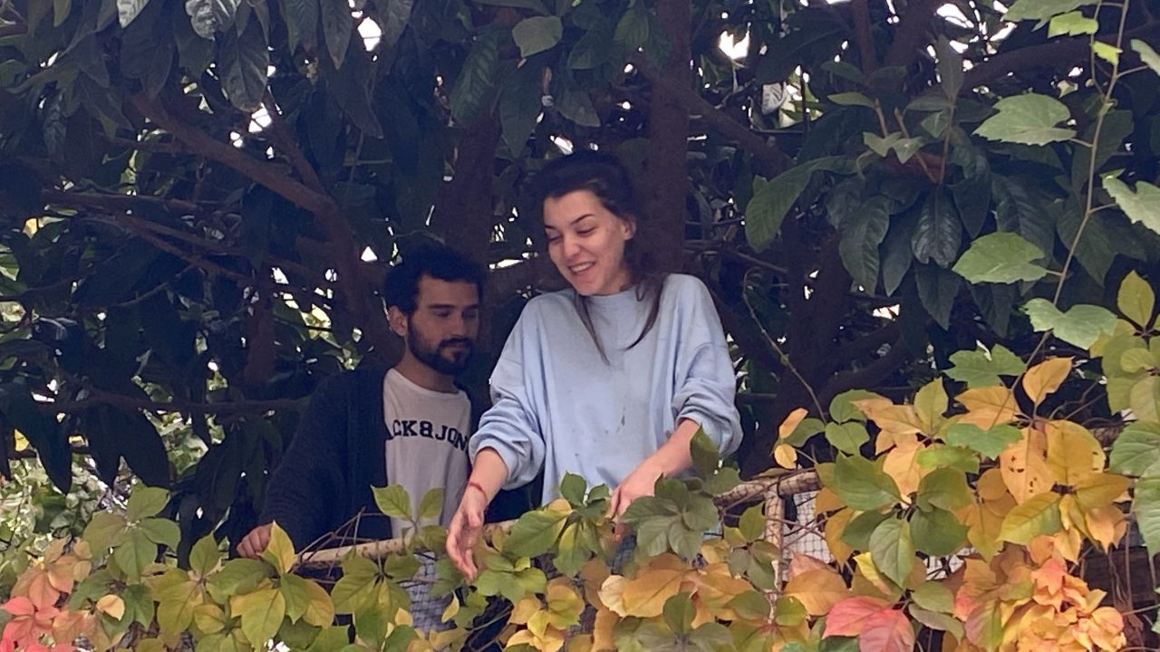Olay yeri Beşiktaş!Kedisini kurtarmak isterken ağaçta mahsur kaldı