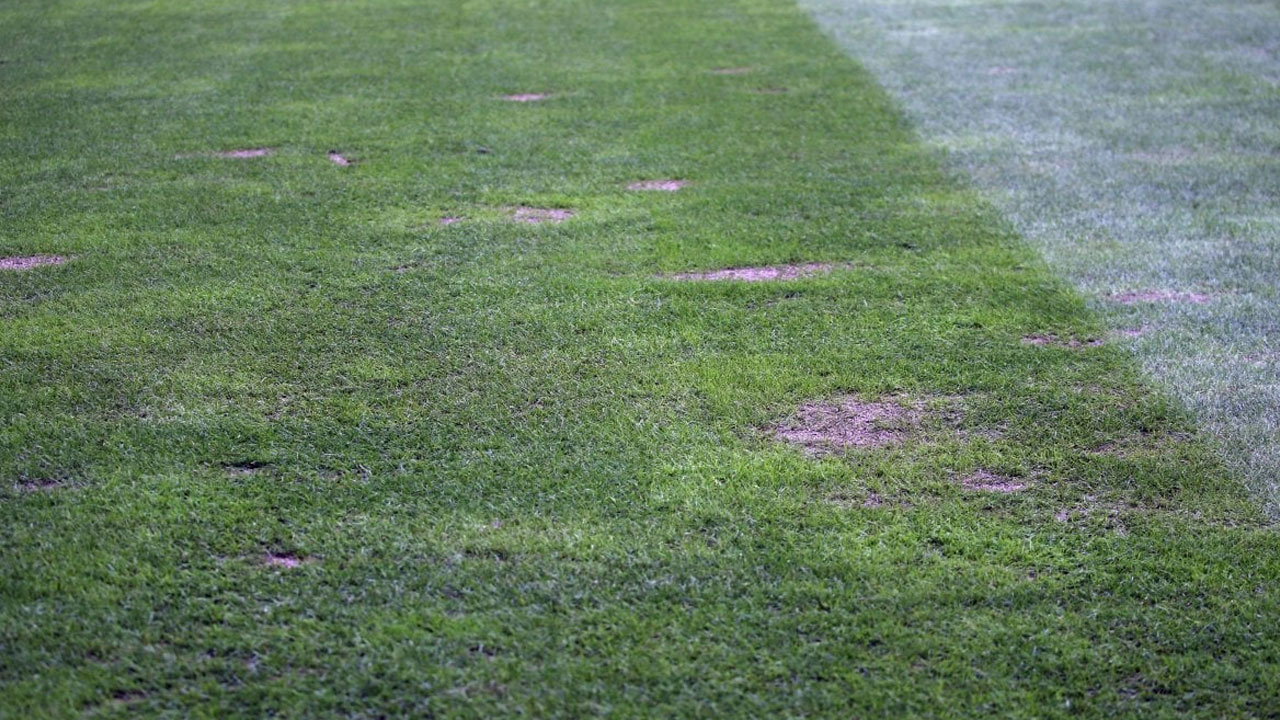 Sivasspor - Galatasaray maçında tartışılan saha zemini tepki aldı