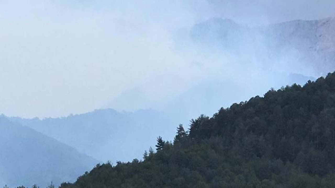 Denizli'de orman yangını çıktı! Meteoroloji uyarmıştı alevler kısa sürede büyüdü