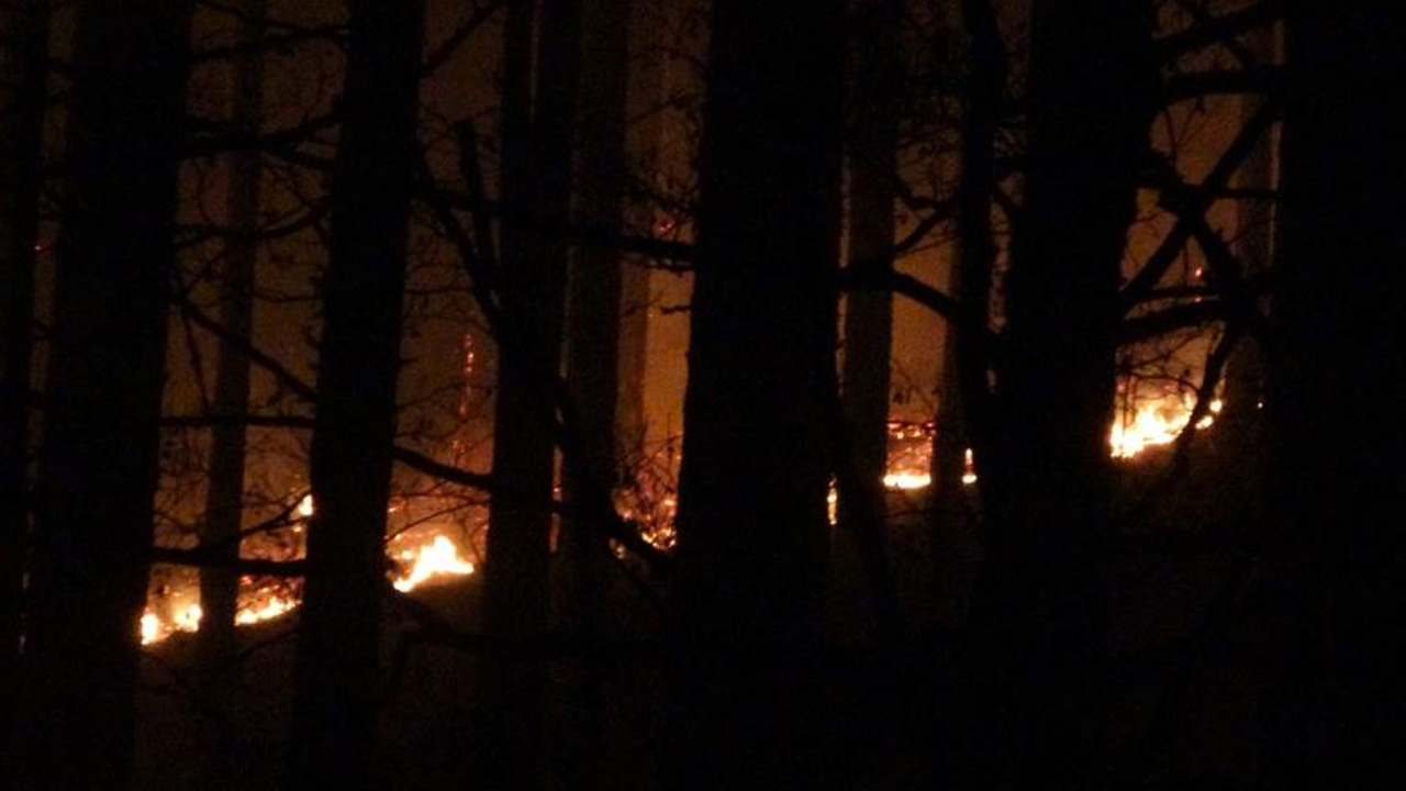 Kaz Dağları'nda orman yangını  80 hektar alan küle döndü