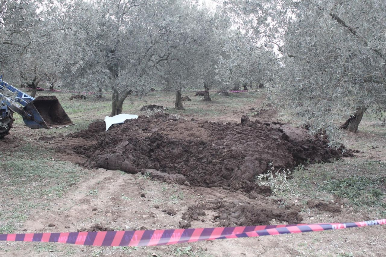 Sipariş ettiği hayvan gübresinden çıktı! Kan donduran olay