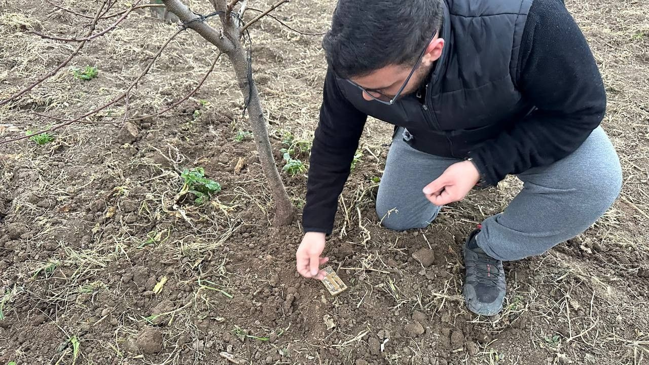 Şeftali ağacının dibini çapalarken buldu İznik için söyleniyordu gerçek çıktı