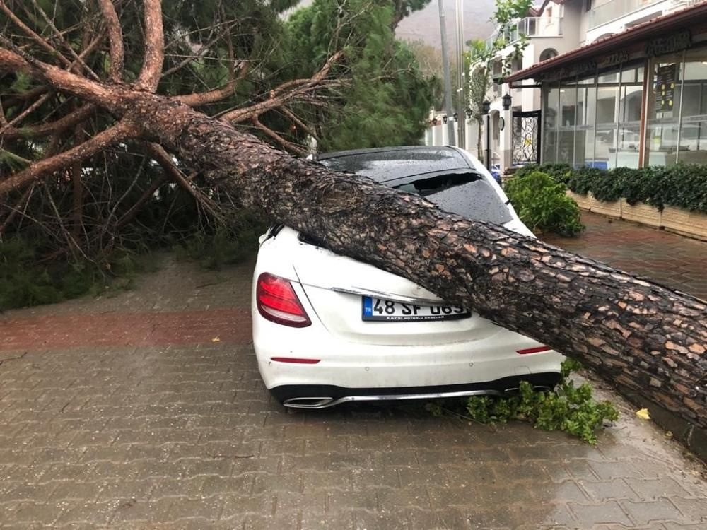 Muğla'da fırtına yıktı geçti! Görüntüler çok fena otomobiller ağaçların altına kaldı zarar büyük