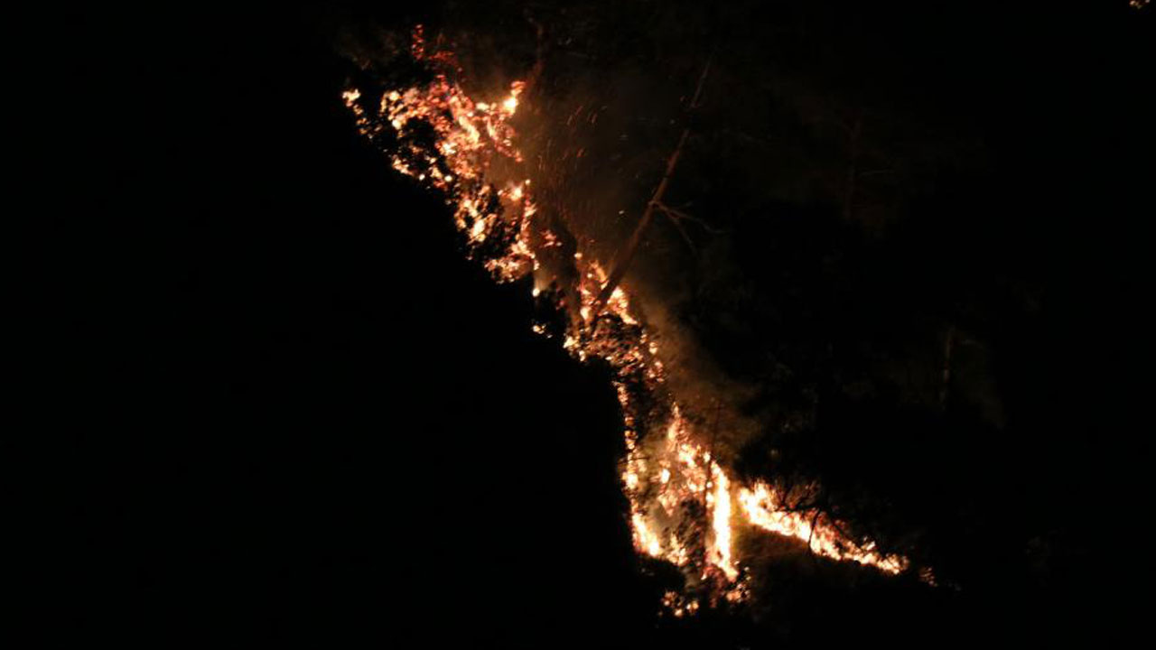 Yerleşim yerleri boşaltıldı! Alanya'dak orman yangını korkuttu