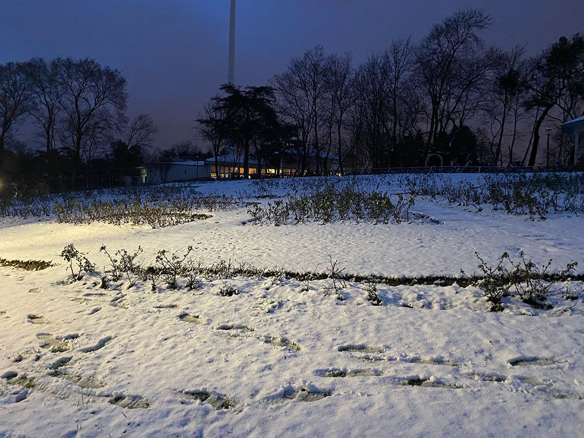İstanbul'a beklenen kar geldi! Meteorolojiden İstanbul ve 16 şehir için yeni açıklama geldi