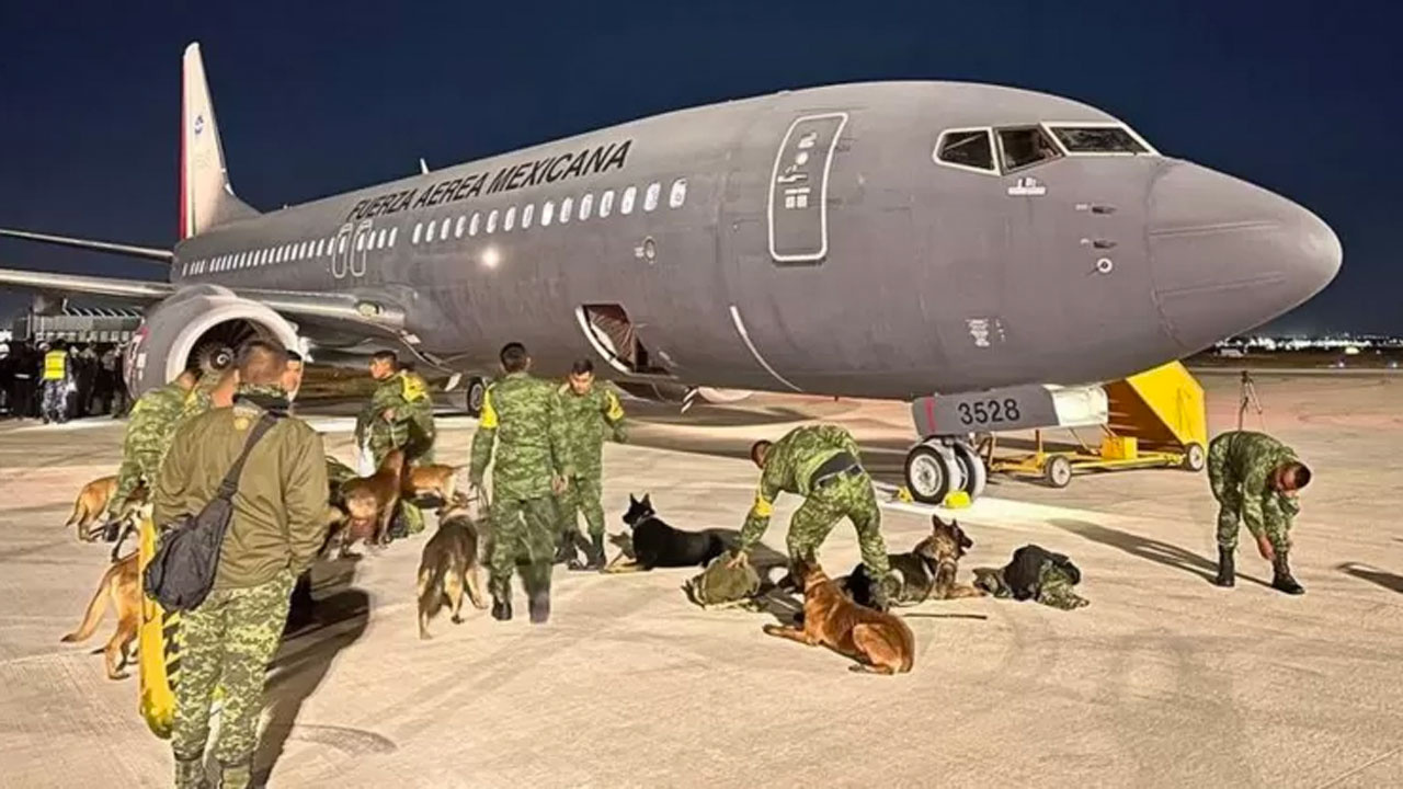 Meksika, ünlü arama kurtarma köpeklerini Türkiye'ye yolluyor