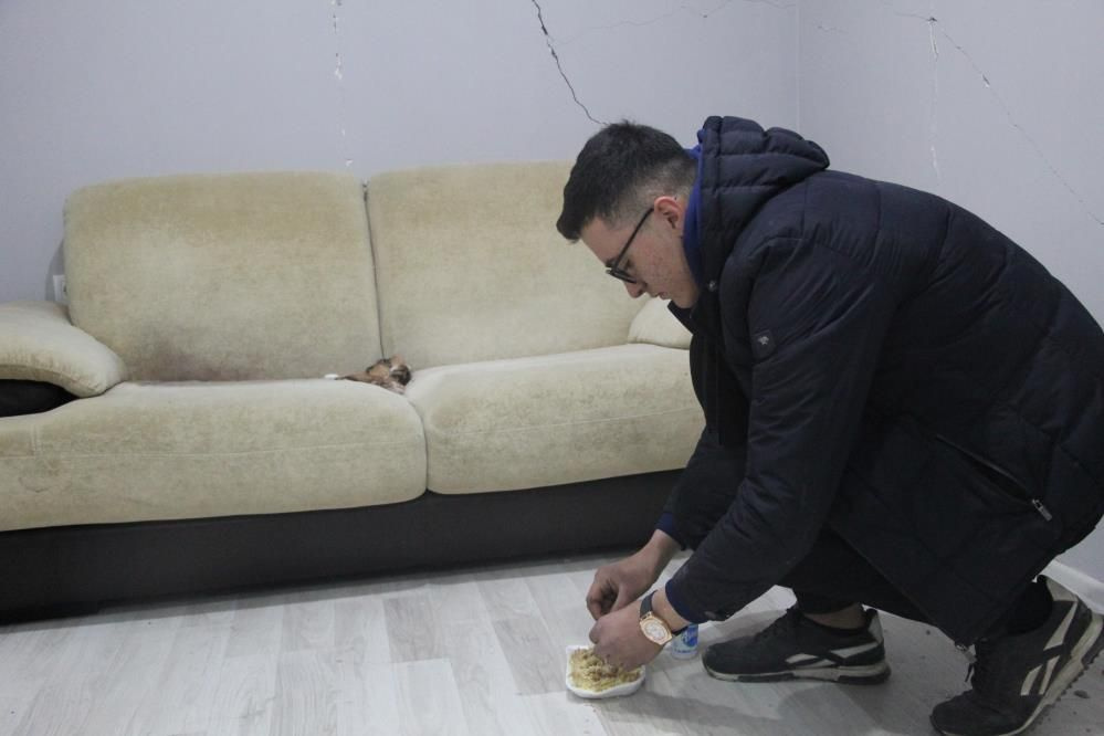 Depremde mahsur kaldı doğum yaptı! 10 gün sonra fark edilen kedi açlıktan yavrusunu yedi