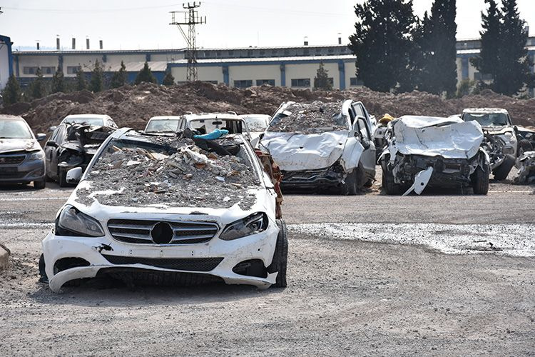 Kahramanmaraş'ta deprem sonrası hepsi bir yerde toplandı! Sahiplerini bekliyor