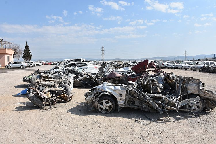 Kahramanmaraş'ta deprem sonrası hepsi bir yerde toplandı! Sahiplerini bekliyor