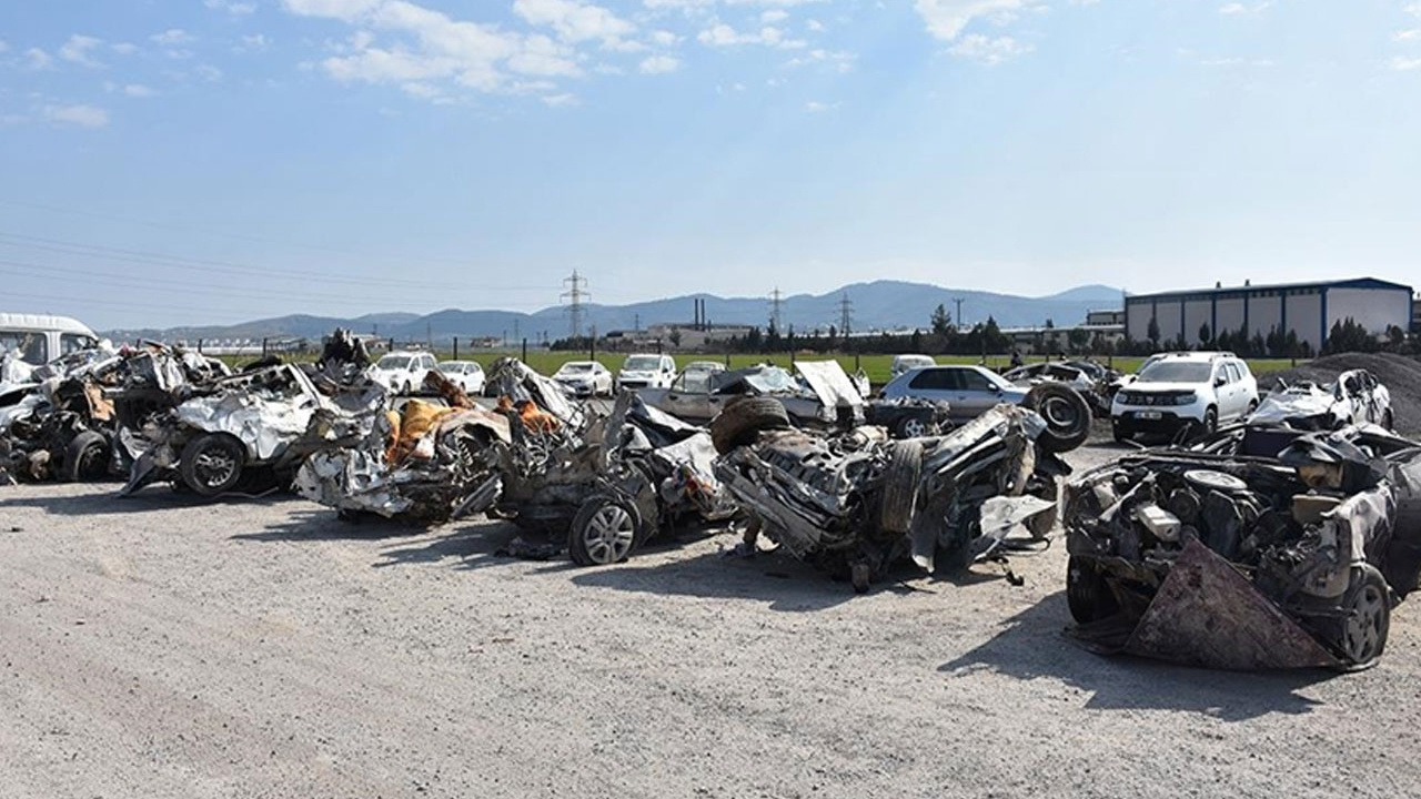 Kahramanmaraş'ta deprem sonrası hepsi bir yerde toplandı! Sahiplerini bekliyor