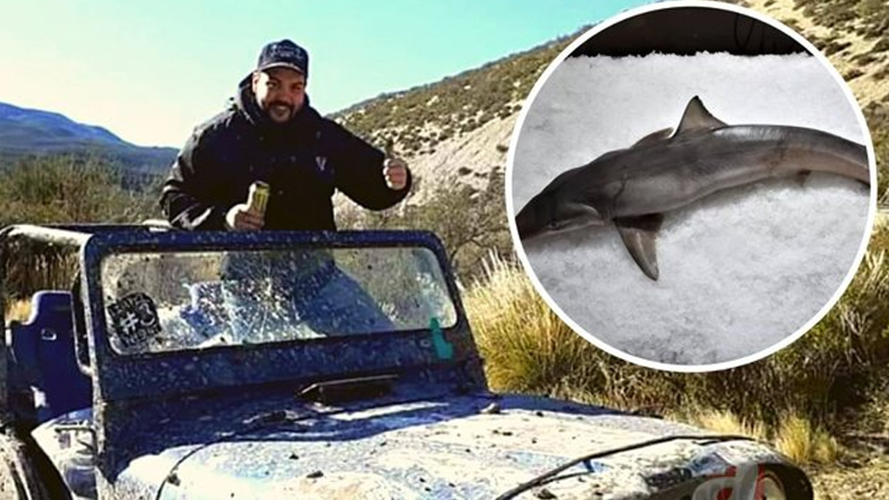 Dünya kayıp adamdan gelen haberi konuşuyor: Karadayken köpek balığına yem oldu