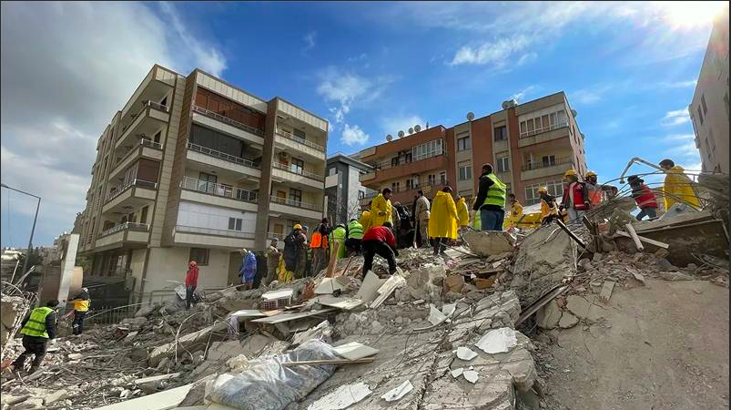 Hayvanlar depremi önceden hisseder mi Celal Şengör çok ilginç dedi anlattı